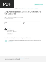 4NQO Carcinogenesis Amodel Oforalsquamouscellcarcinoma2012