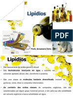 Aula 4 - Lipidios.