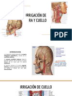 Irrigación de Cara y Cuello