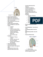 Thoracic Cavity