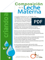 Composición de La Leche Materna