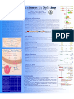 Mecanismos de Splicing