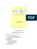 El Camino Del Agora. Filosofia Politica