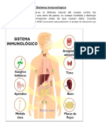 Sistema Inmunológico