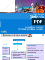 Clase 11 Concepto de Hormona. Hormonas Animales y Vegetales