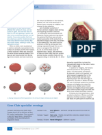 Etched Carnelian Intaglios PDF