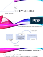 Cardiac Electrophysiology: William Makdinata