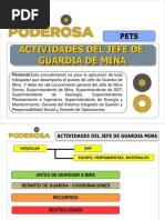 PETS-Actividades de Jefe Guardia Mina