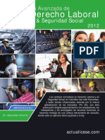 Guia Avanzada Laboral Ss 2012 PDF