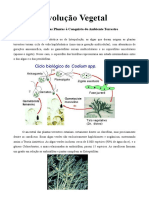 Evolução Vegetal