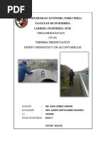 PDF Documento