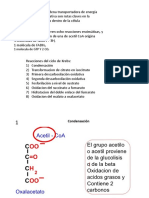 Ciclo Krebs 2