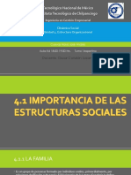 Importancia de Las Estructuras Sociales