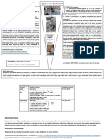 Informe V Gowin 1