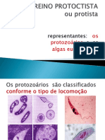 Aula Reino Protoctista