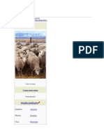 Sheep: For Other Uses, See