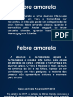 Dds Febre Amarela