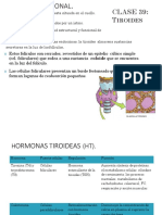 ENDOCRINOFISIOLOGÍA Tiroides y Paratiroides