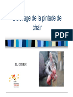 Pintade PDF