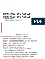 (Mikrobiologi) It 5 - Streptococcus - Khs