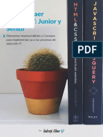 Encontrar y Atraer Profesionales It Junior y Senior