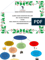 Aporte de La Neurociencia en La Educacion