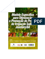 Modelo Específico para Otimização e Promoção Do Projeto de Irrigação Salitre - Juazeiro-Bahia-Brasil, Volume 4.