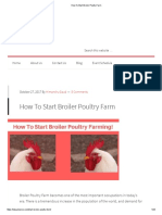 How To Start Broiler Poultry Farm