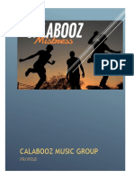 Music Group Overview Calabooz