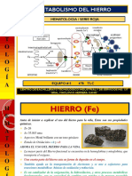 Metabolismo Del Hierro