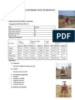 03-Advance Sugarcane Production Technology-Ranazulfiqar Ali