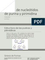 Síntesis de Nucleótidos de Purina y Pirimidina