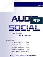 Audit Social