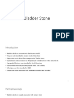 Bladder Stone