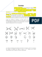 Cariotipo Resumen - Genetica Medica