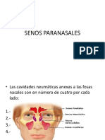 Senos Paranasales