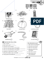 World Explorers 2 DVD Worsheet PDF