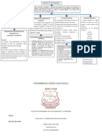 Administracion Cuadro Sinoptico