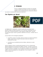 Les Lgumes Vivaces PDF