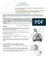 GUÍA Taller de Respiracion