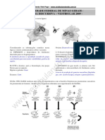 Prova Resolvida Ufmg 2009 Discursiva