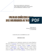 Pueblos Indígenas de Venezuela