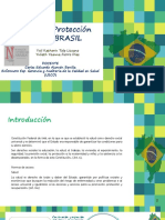 Sistema de Proteccion Social BRASIL