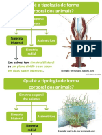 Forma e Regime Alimentar Do Animais (Resumos)