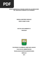 Riesgo Inminente Del Peligro Aviario en Las Operaciones Del Aeropuerto Enrique Olaya Herrera