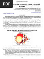 29-Aspectos Oftalmologia Equina