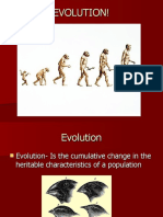 EVOLUTION2!