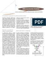 Diferenciación Celular PDF