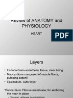 Review of Anatomy and Physiology