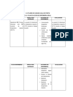 Planes de Cuidado de Enfermeria de Sala de Parto